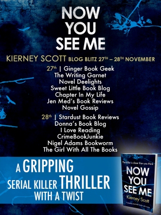 Now You See Me - Blog Tour